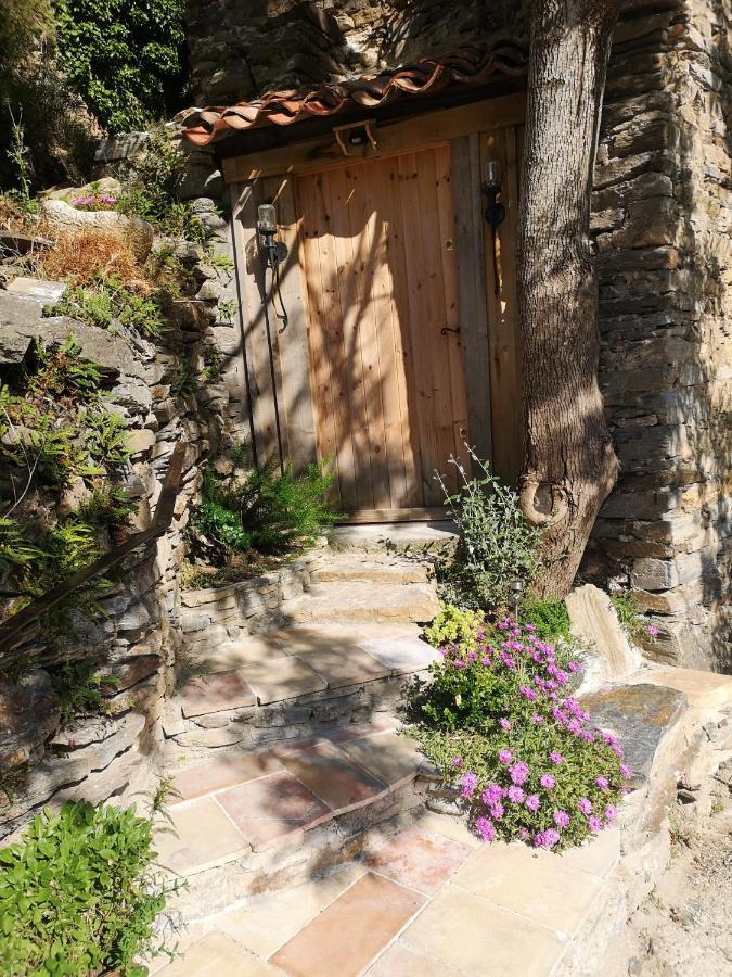 Les Citounelles Villa Luaran gambar